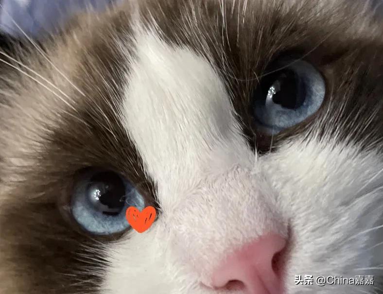 这个才能治愈你的不开心