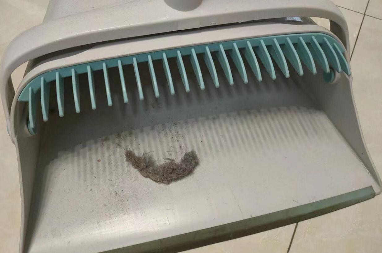 家里总是有灰尘毛絮用什么擦除,家里老是有毛毛灰怎么清除干净