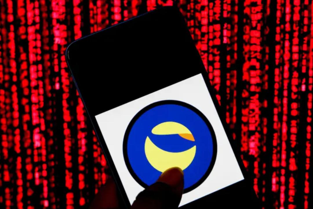 38岁程序员卷入币圈,35岁程序员被裁员存款500w