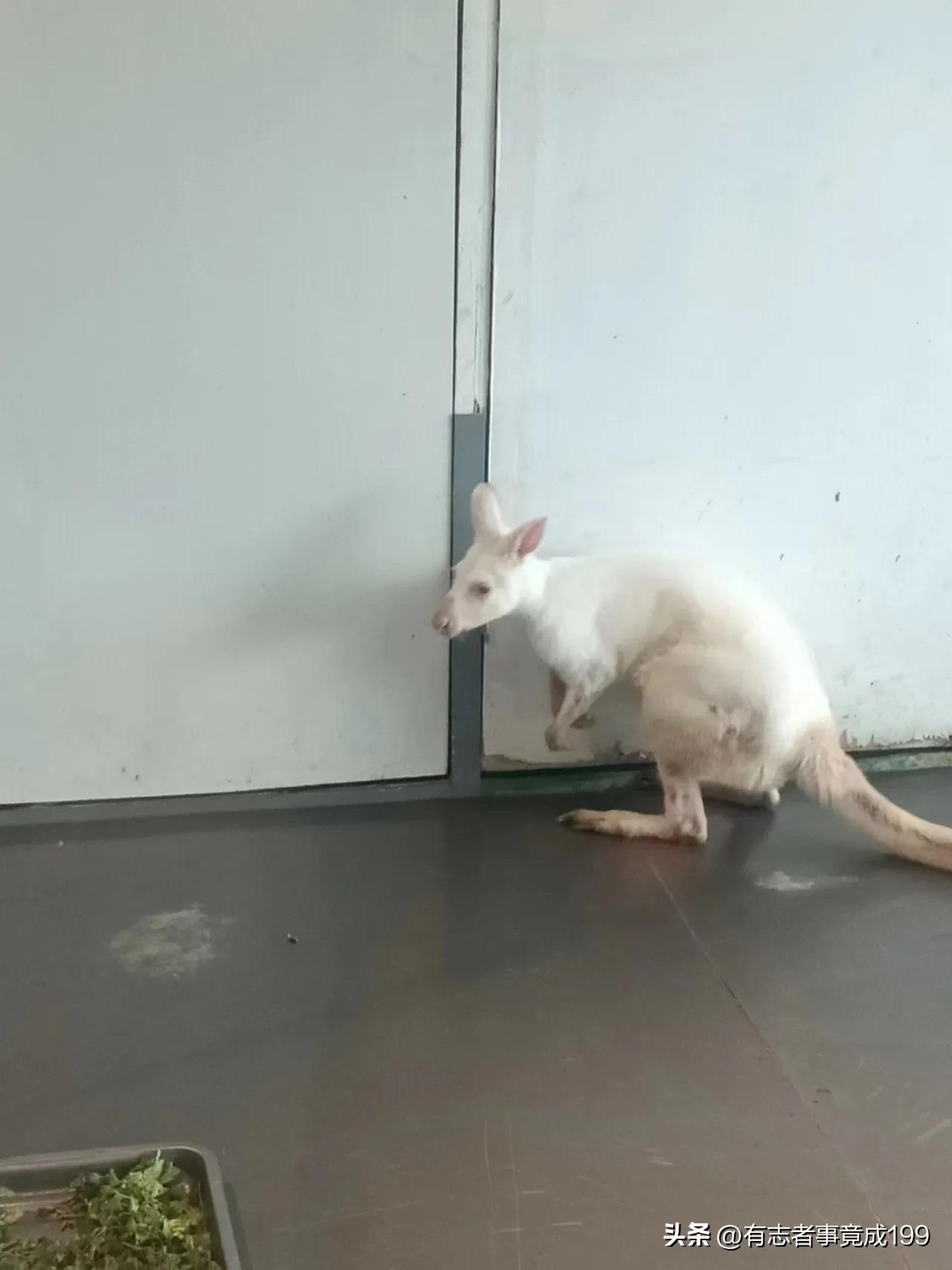 在西安去海洋馆,西安海底世界海洋馆