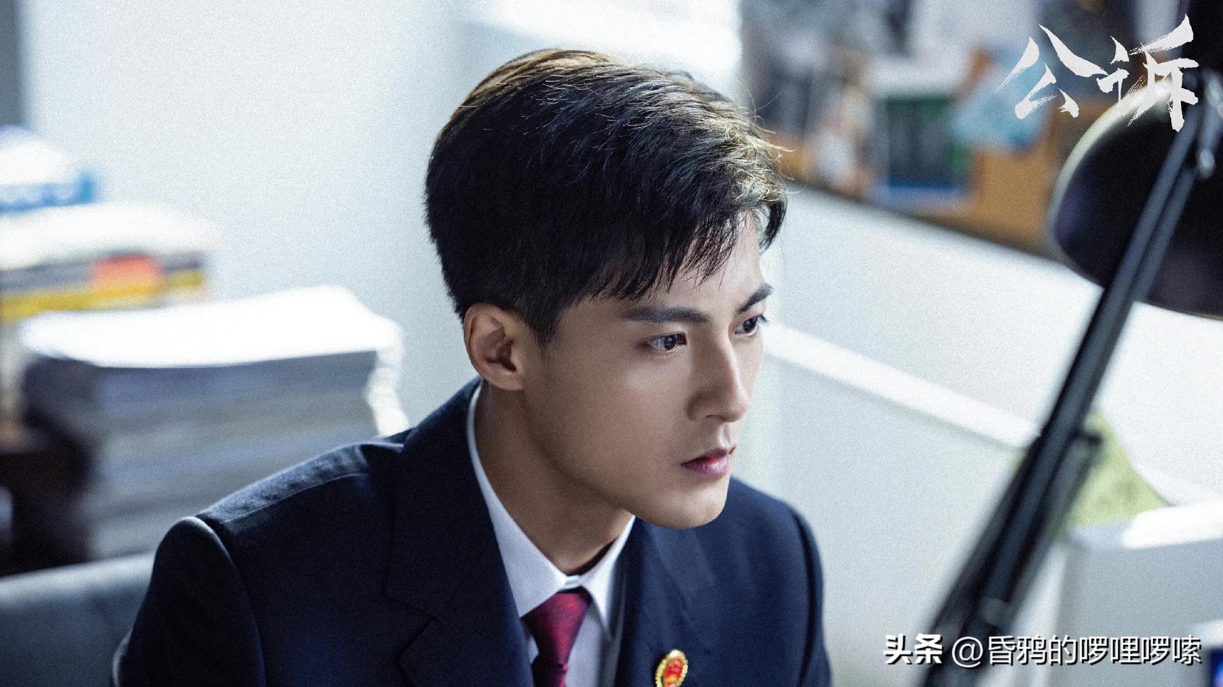 《公诉》！安旎、何陆源等公职人员，是什么级别，副处、正处？