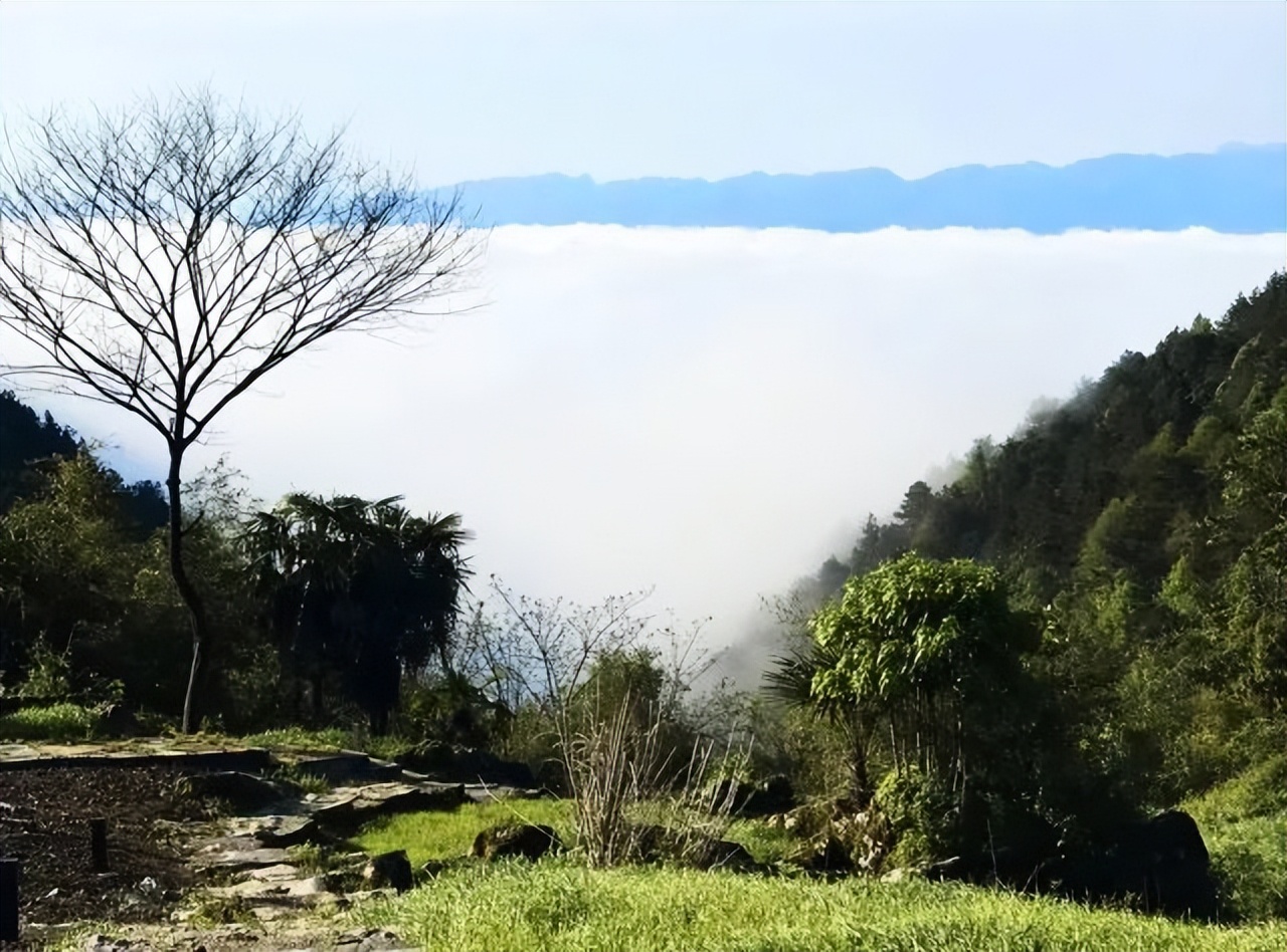 乡村改造创意工坊设计概念,极简乡村改造设计