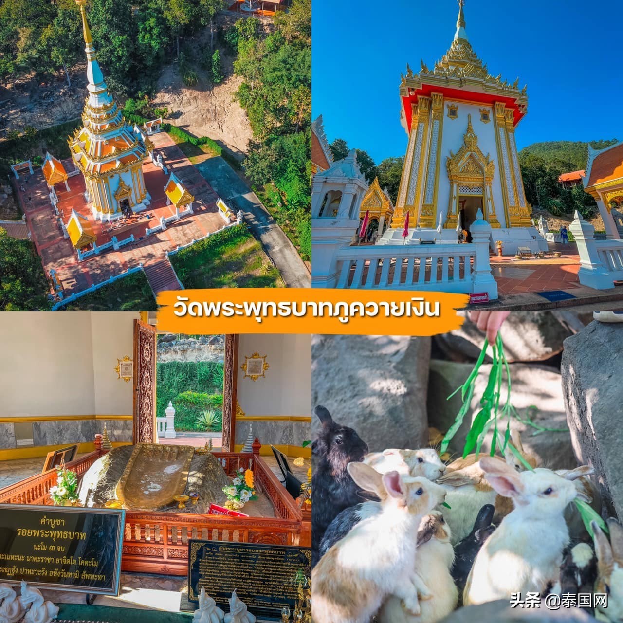 泰国黎府旅游景点,泰国黎府旅行视频