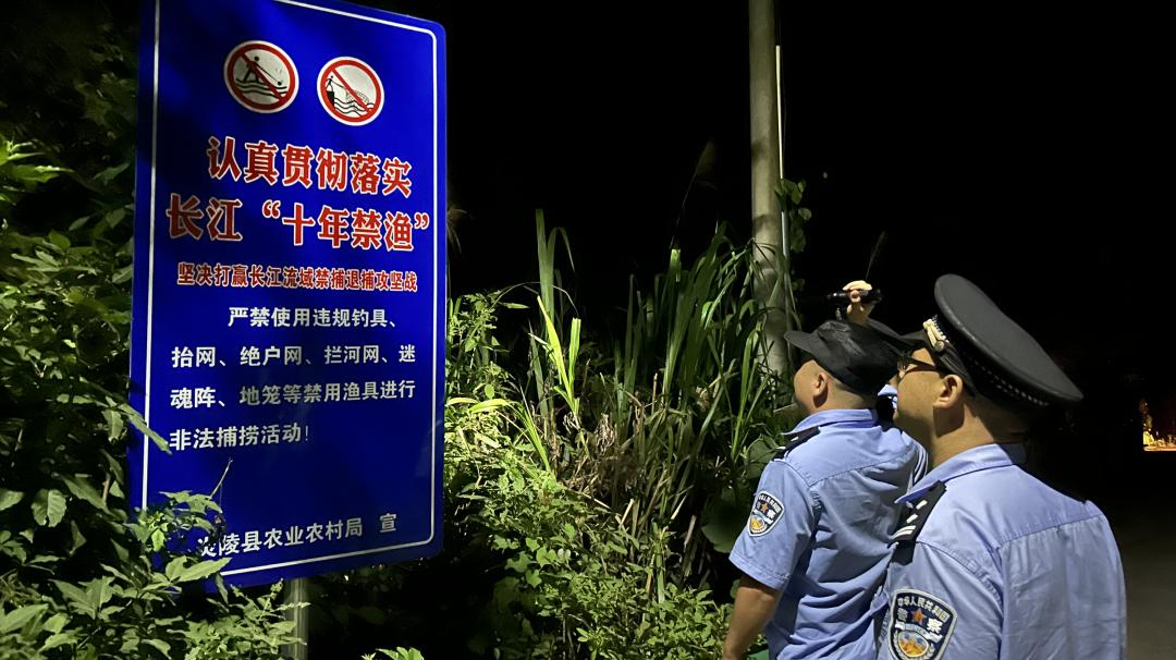 株洲治安打击整治行动,禁毒大队夏季治安整治工作方案