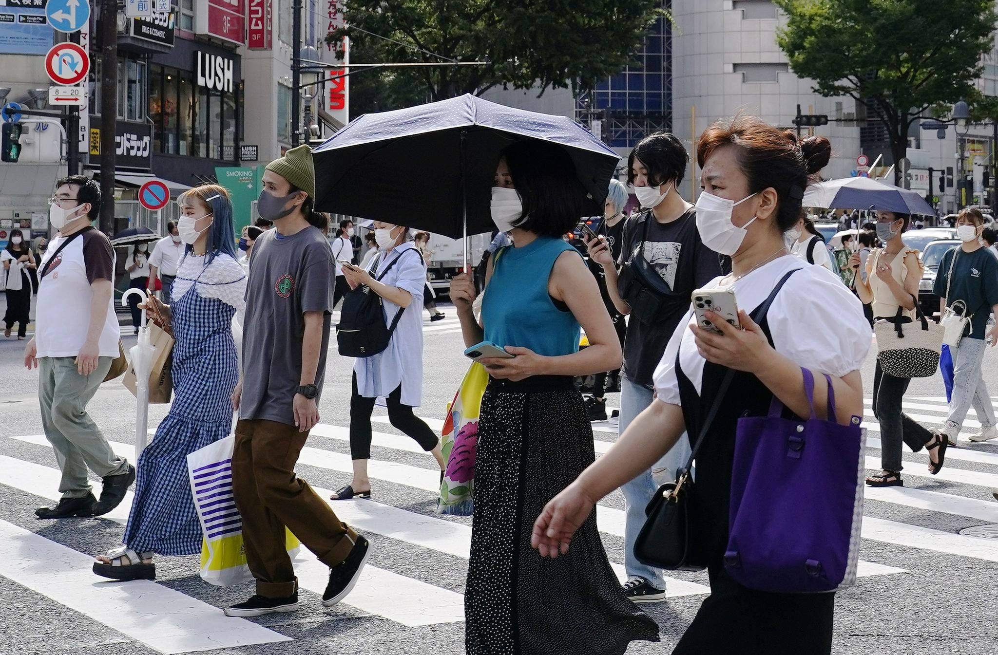 怎么一眼区分佳能相机和索尼,尼康佳能索尼三家微单画质