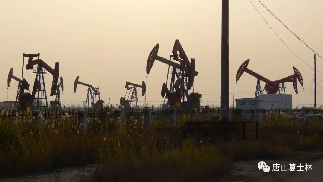 蚕沙口，一个记载着唐山海洋故事的小渔村