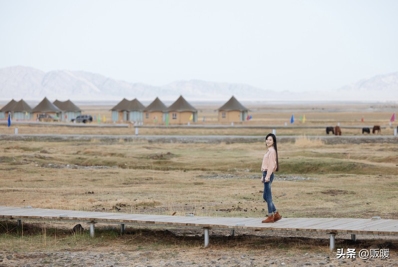 青海｜热爱西风和烈酒，也爱孤独和自由