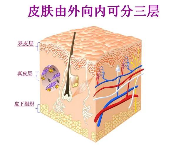 才19岁脸上就起皱纹了是缺什么,19岁就有很重的眼角细纹了