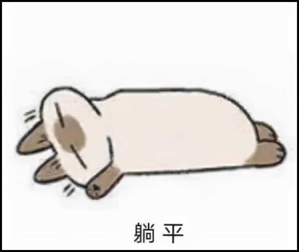 lol免费改名活动操作,lol免费改名活动在官网哪里