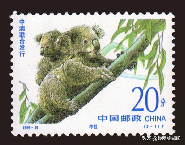 十大濒危动物国际珍惜动物保护日,世界动物日科普视频