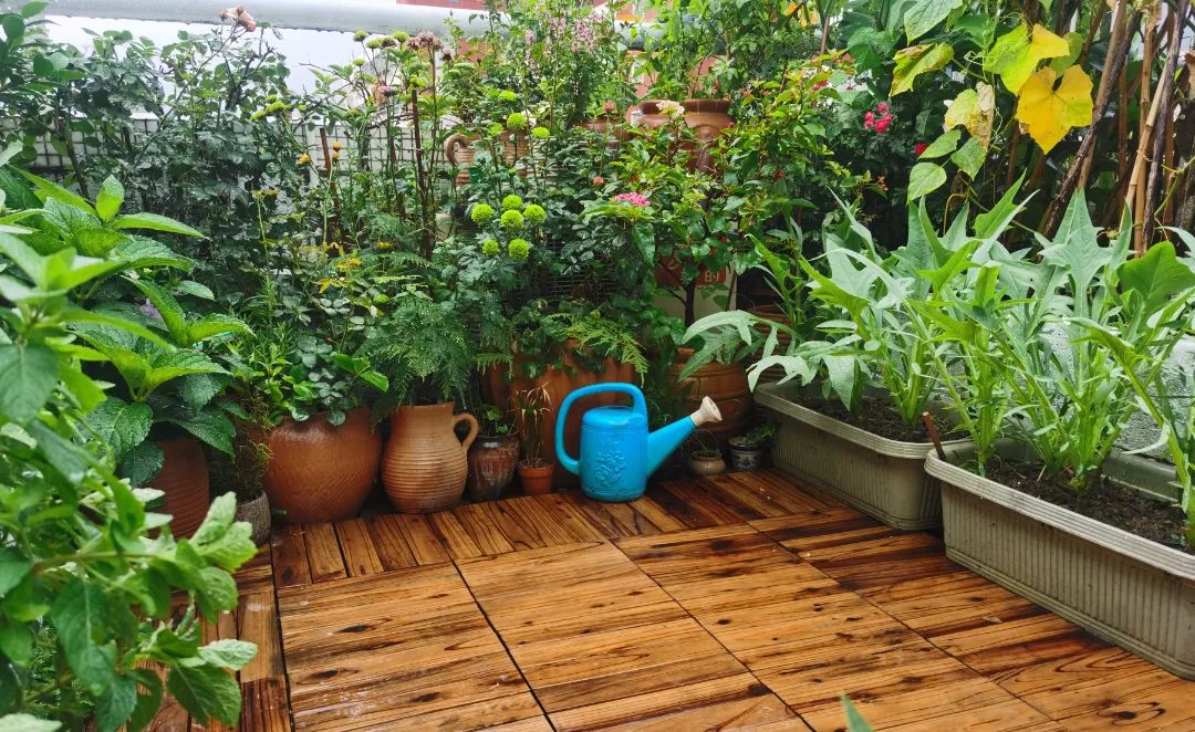 很多人羡慕的阳台,让别人羡慕的阳台