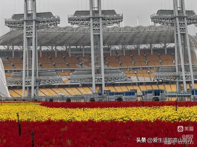 佛山至香港一日游,广州佛山一日游遛娃的好地方