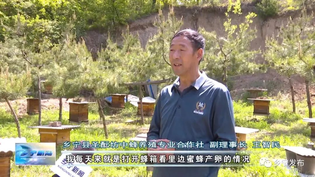 乡宁县管头镇,乡宁县养蜂