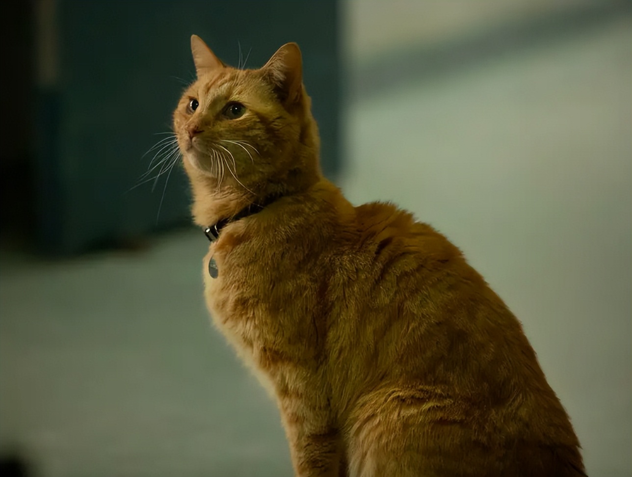 漫威三代蜘蛛侠同框讲解,漫威三蛛同框