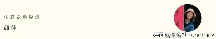 21个年轻人踏上了chatGPT也想象不到的旅程