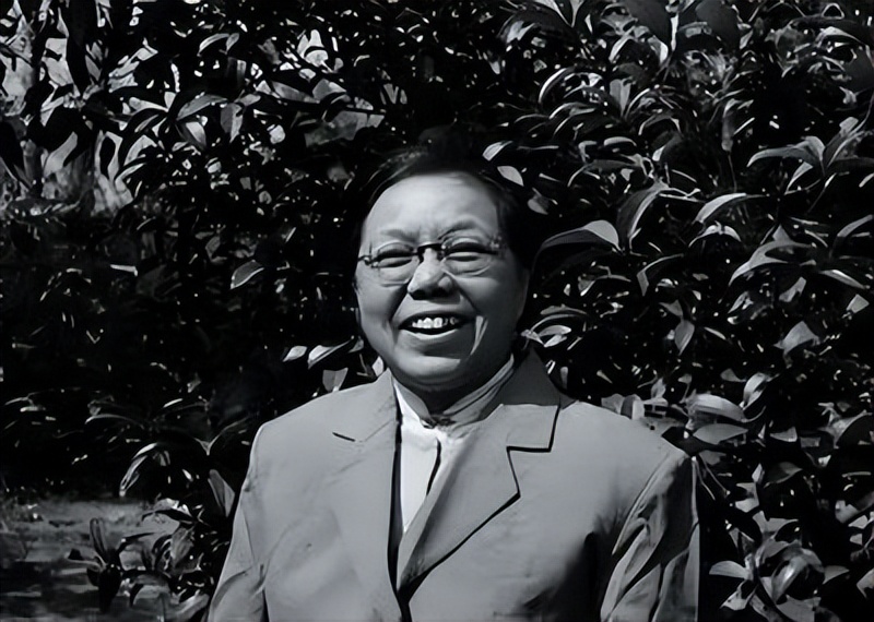 1989年舅舅淡以兴去世，当地想办追悼会，*小平邓**：规格已经够高了