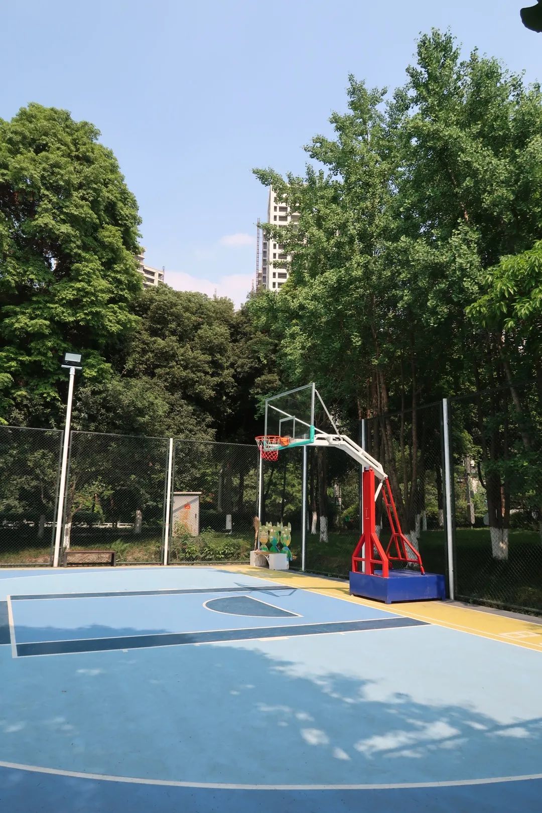 篮球羽毛球乒乓球综合馆,收藏性价比