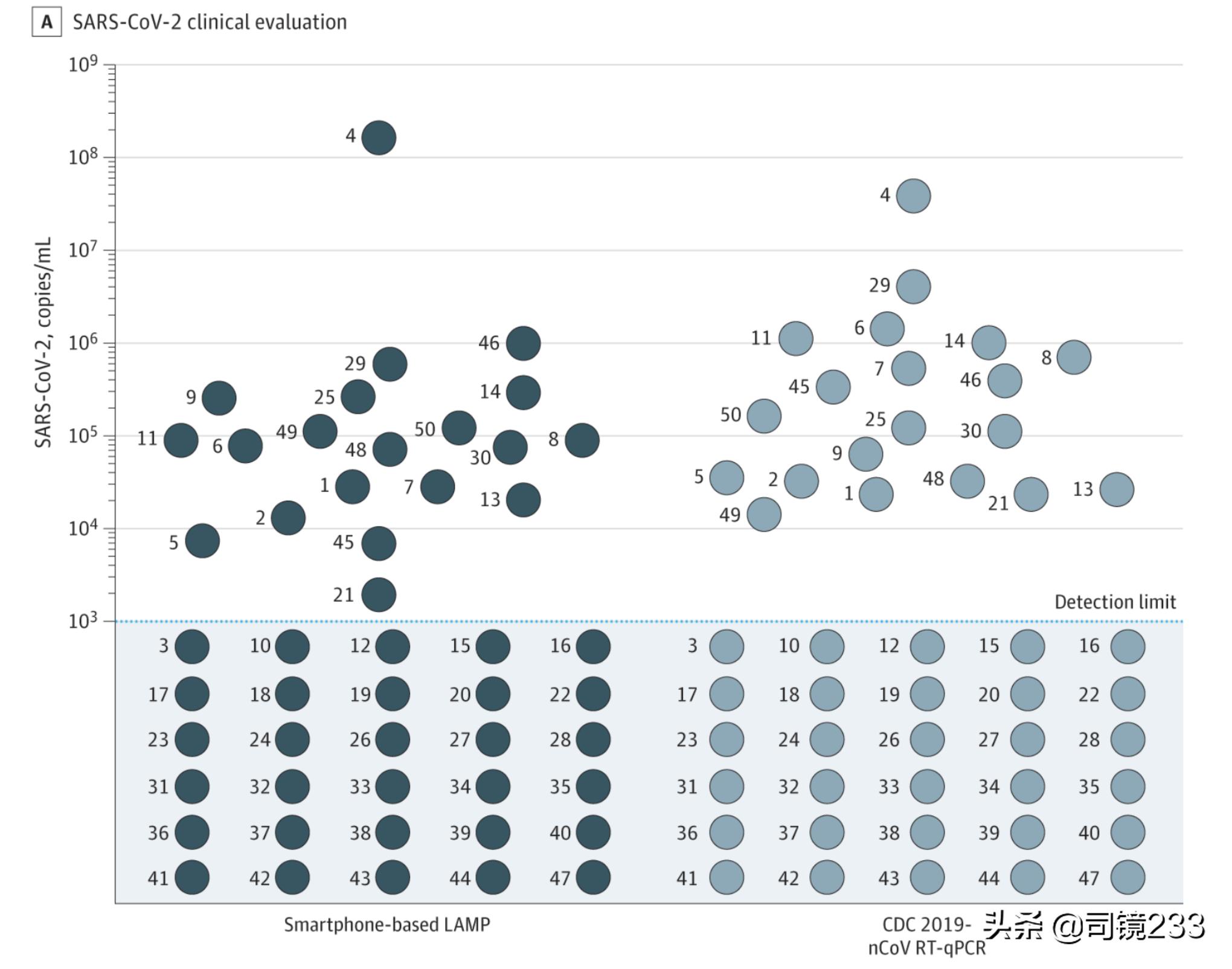 用手机能随时进行新冠检测,用手机检测新冠结果准吗
