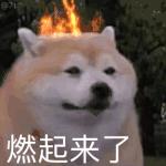 一整季笑麻了，东北喜剧天团主打就是一个真诚