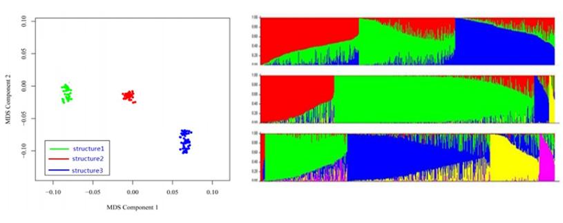 乳腺癌基因检测怎么做,乳腺癌基因检测怎么测