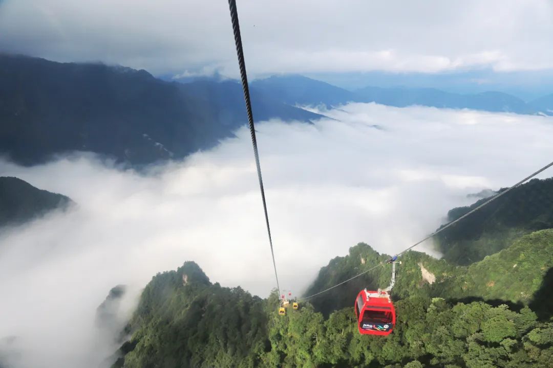 机票价格大跳水错峰出游正当时,错峰出游正当时旅游市场淡季不淡