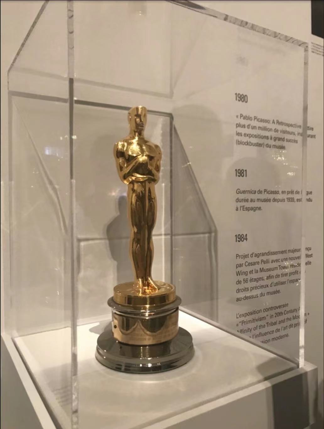 走进绿色自然,走进绿色自然三百字作文