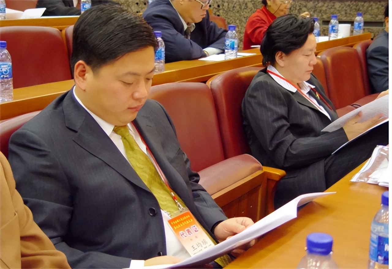 中国包机第一人王均瑶,中国富豪王均瑶