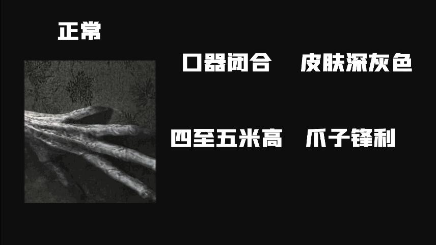 异世界怪奇物语,美剧推荐大片9.0以上评分怪奇物语