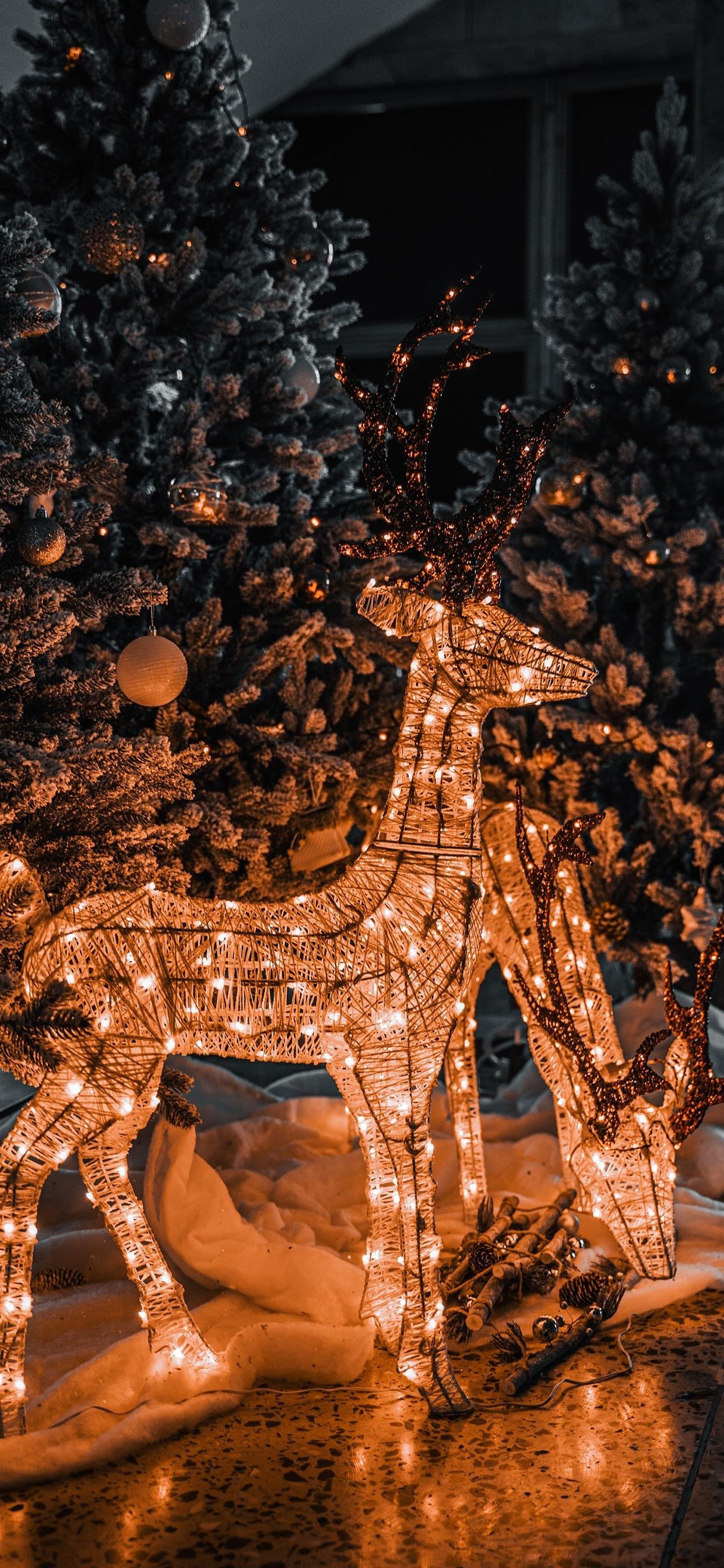 超治愈又好看的手机壁纸,推荐超好看的手机壁纸