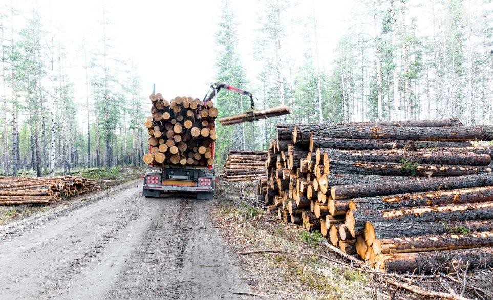 木材交易,为何能成为中世纪英国与波罗的海之间的枢纽?