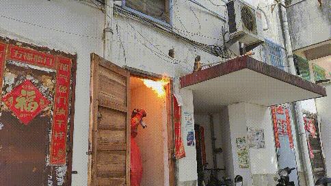 夏季到来当心蛇出没,夏季提防虫子