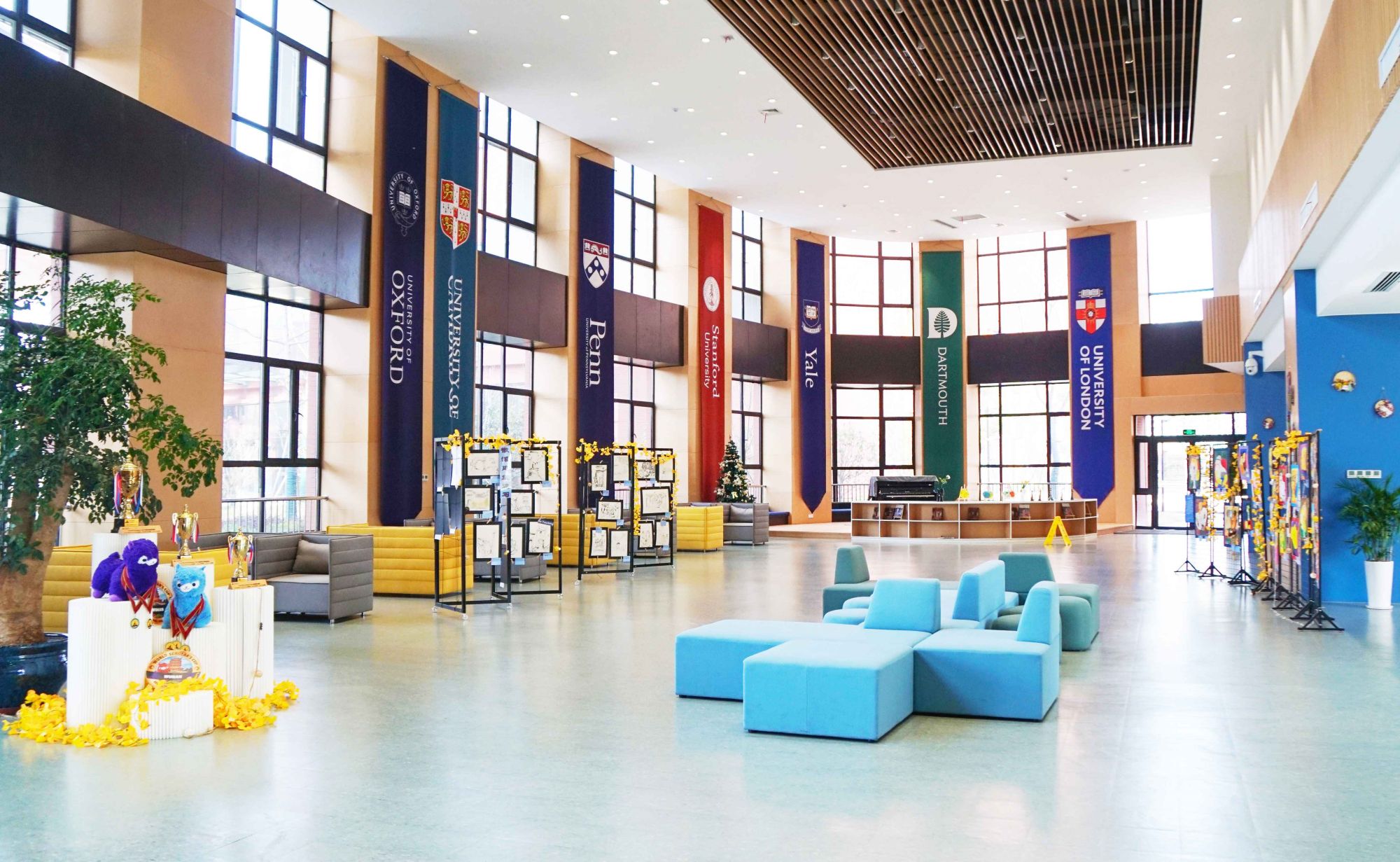 合肥国际班如何选择,合肥国际学校课程