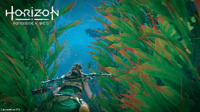 地平线西之绝境游戏新手入门教程,地平线西之绝境新手攻略