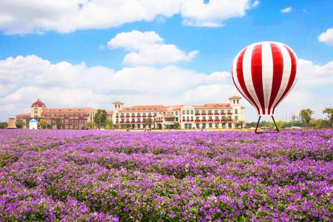 童趣的香甜之旅，就在嘉善歌斐颂巧克力小镇