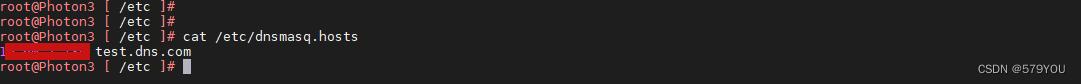 PhotonOS3搭建DNS服务器