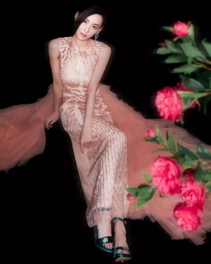 张柏芝最火的图片高清壁纸,张柏芝港星高清壁纸图