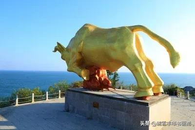 西岛为什么叫玳瑁,海南玳瑁西岛