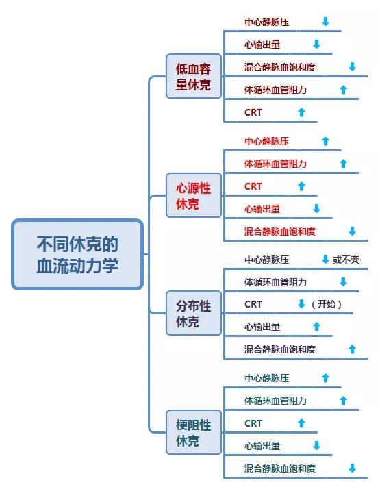 抗休克治疗中缩血管药物使用原则,不同时期休克用药
