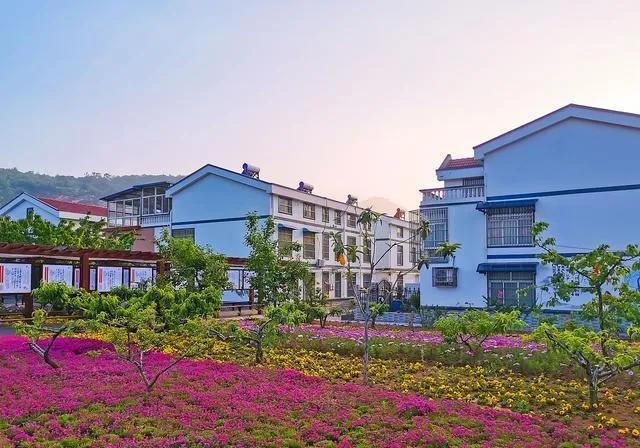 2020年农村规划全部实施是真的吗,2022年国家对农村发展有什么政策