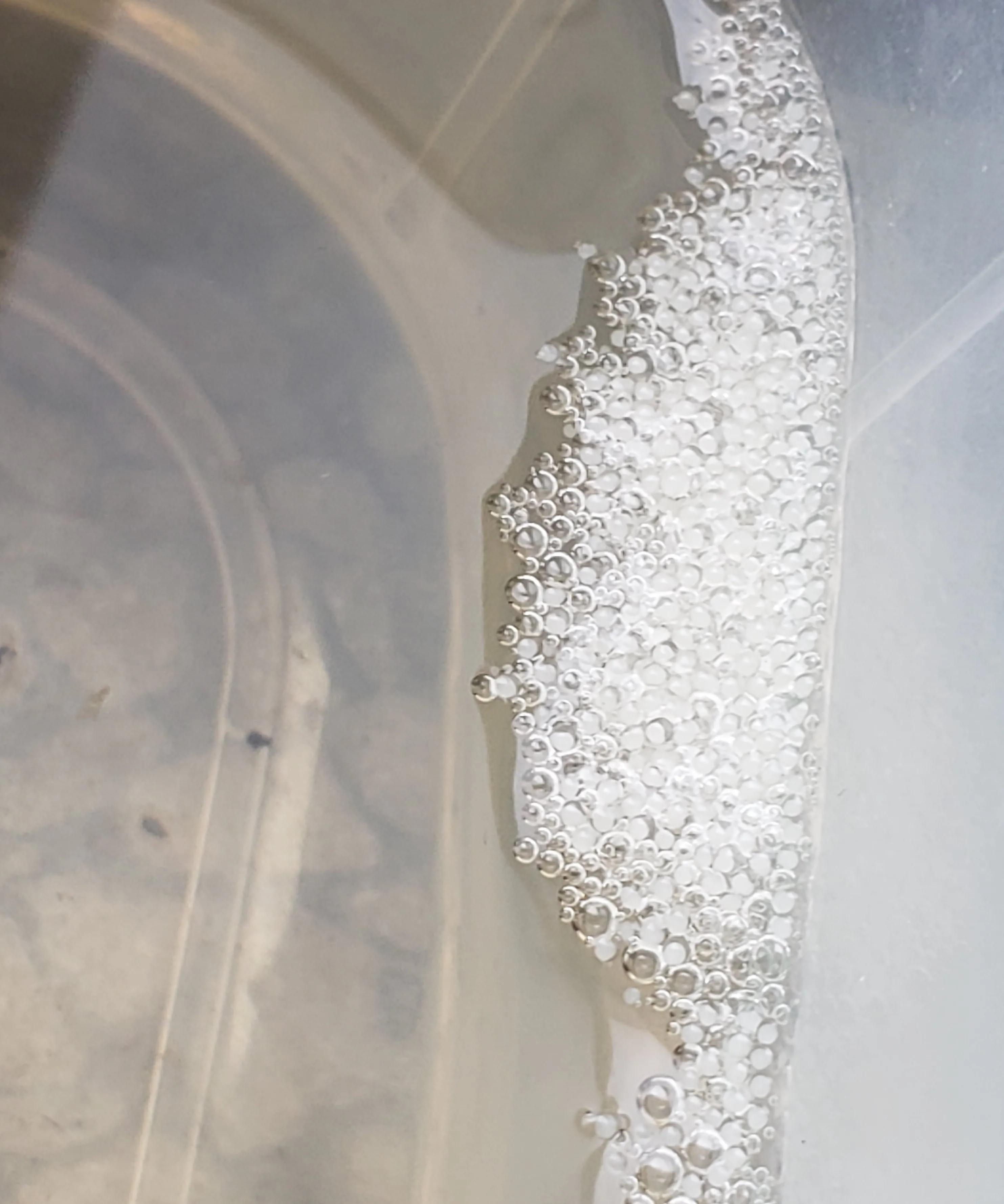 泰国斗鱼饲养注意事项和禁忌,养泰国斗鱼注意事项及禁忌