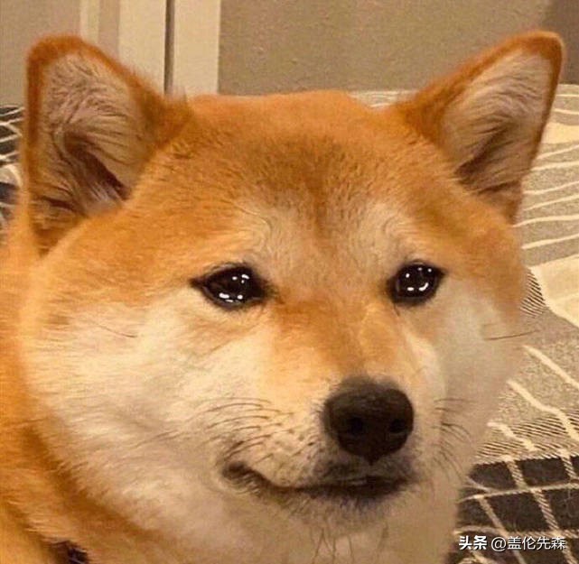 穷玩车，富玩表，屌丝玩电脑！谁才是PC掌机界的性价比之王？