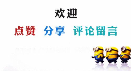 养狗人必看篇：帮你挑选一款性价比高的狗粮！赶紧收藏起来吧！