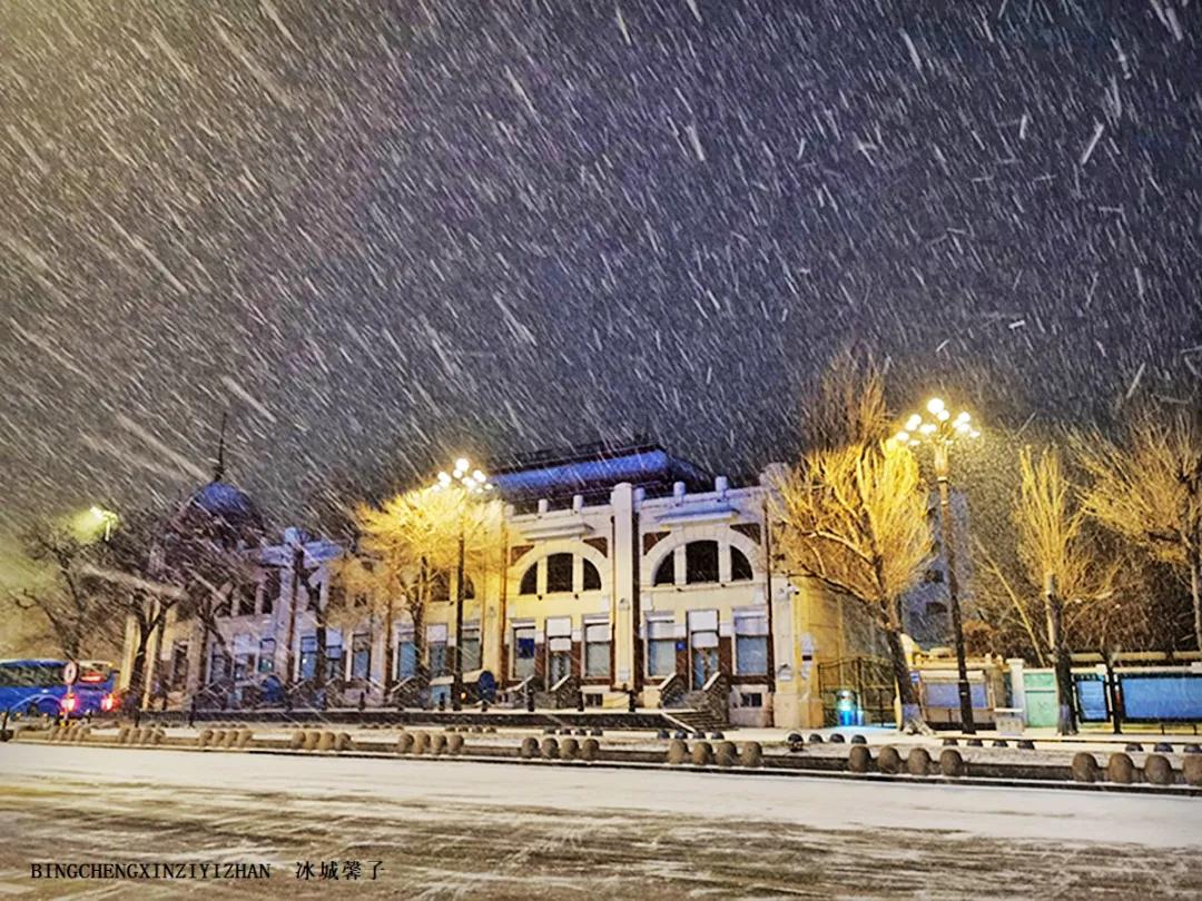 哈尔滨昨天的大雪,哈尔滨冬天的鹅毛大雪
