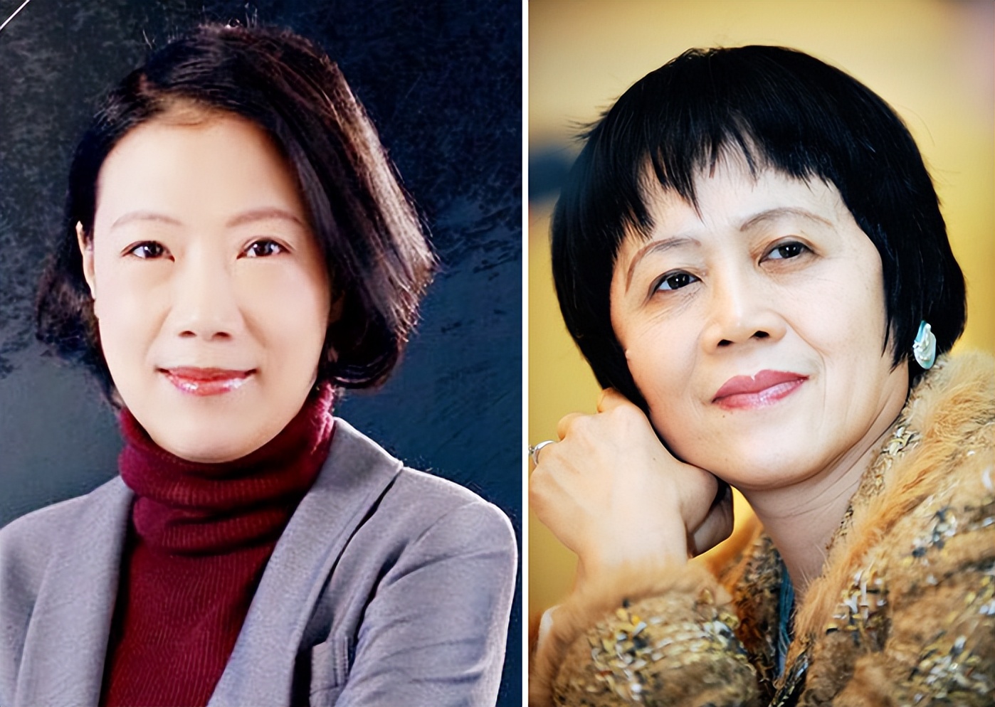 叶檀怎么样了,叶檀说话有多现实