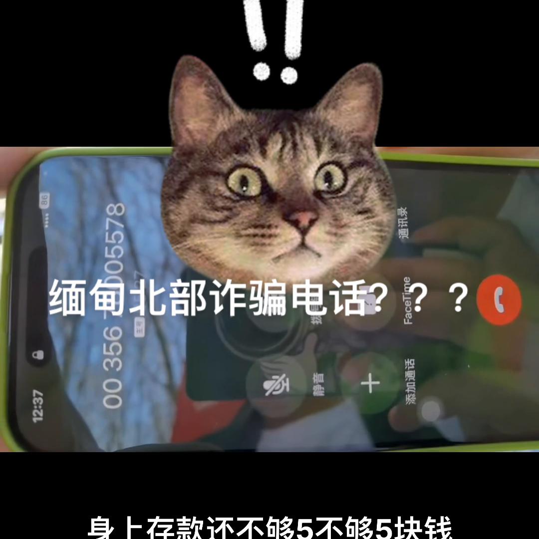小姐姐套路网络诈骗,小姐姐遇上网络诈骗
