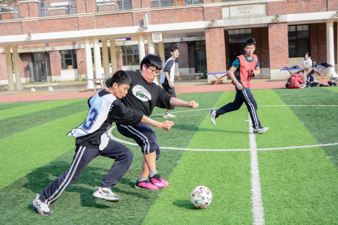 瓒虫ⅵ缁胯尩缁芥斁绮惧僵瓒崇悆鏁呬簨,瓒虫ⅵ缁胯尩