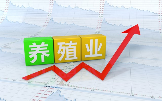 泥鳅小龙虾养殖技术视频,小龙虾和泥鳅寄生虫谁多