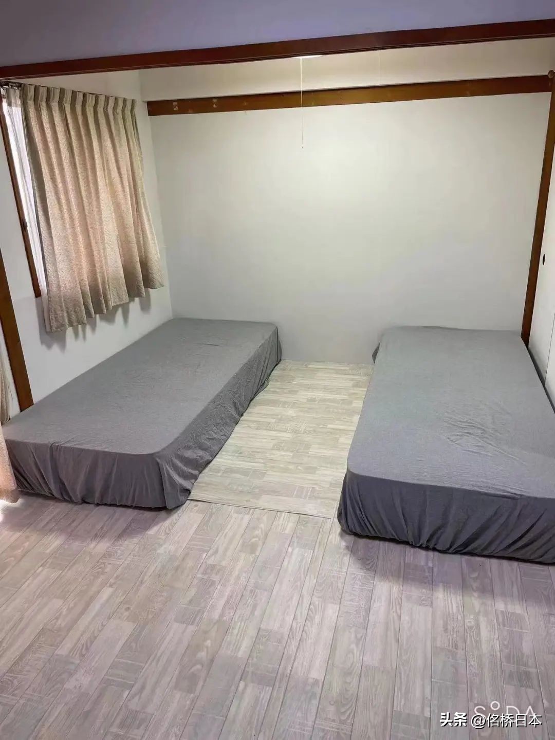 东和新日本语学校免费开放IT课程就职强推！