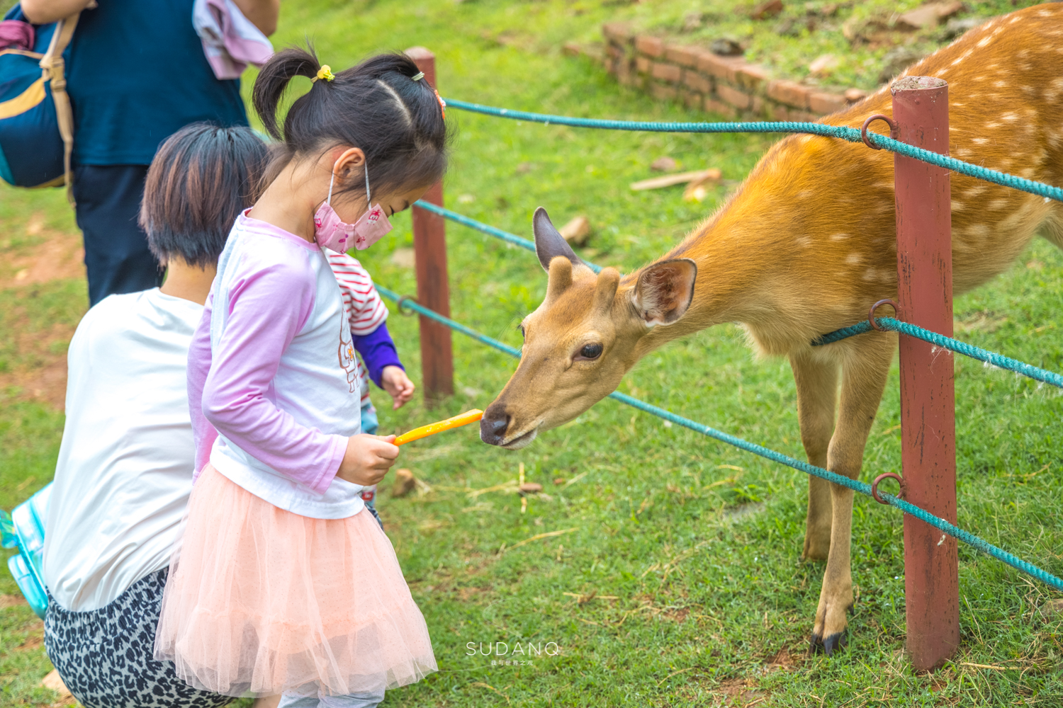 武汉哪个动物园比较适合小朋友玩,武汉值得带孩子去的动物园