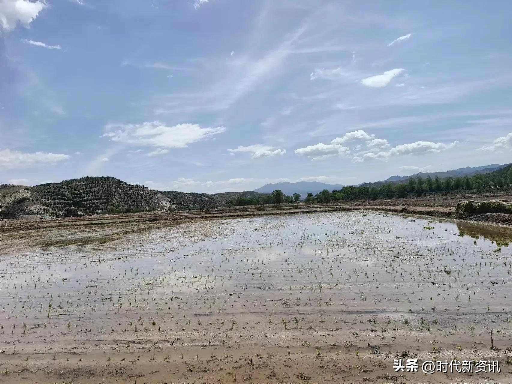 灵丘县东河南镇有机农业助农增收,灵丘县蔡家峪村规划图